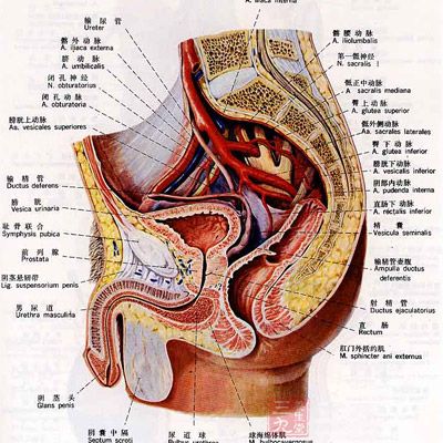 膀胱输尿管回流造成输尿管扭曲，加之输尿管周围纤维化后，最终形成肾盂输尿管交界处或输尿管的梗阻