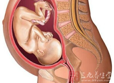 膀胱内占位性病变、结核性挛缩膀胱或妊娠子宫、子宫肌瘤、子宫脱垂压迫膀胱等