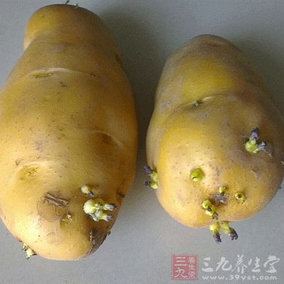 马铃薯是家庭餐桌上经常食用的蔬菜之一