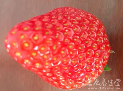 草莓真是一种让人百吃不厌的水果