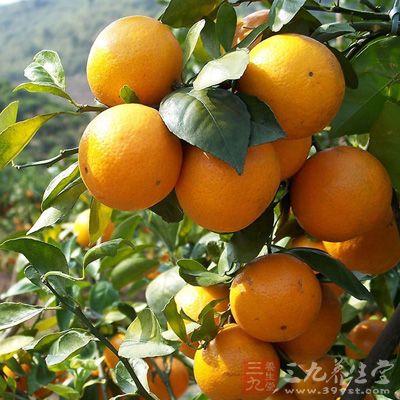 柑橘类水果如橘子、柚子、橙子、柠檬、金橘等，都富含维生素C