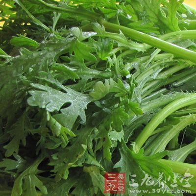 别名蓬蒿，原产于我国，是草本植物。它有蒿之清气，菊之甘香。因其叶形似菊，又称菊花菜。