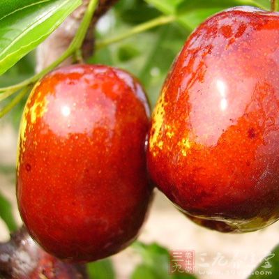 富含维生素C的水果：猕猴桃、鲜枣