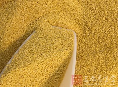 小米含色氨酸最为丰富