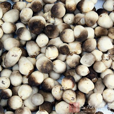 坚持食用草菇可以有效排出人体血液内的毒素和重金属