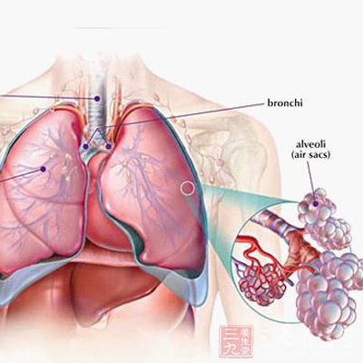 肺癌是常见的恶性肿瘤