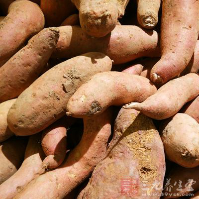 红薯含有丰富的淀粉、维生素、纤维素
