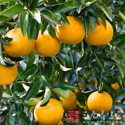 不管是服用维生素C补充剂，还是吃点富含维C的水果，比如枣、橙子、猕猴桃、橘子、柚子等，都能起到缓解感冒症状的作用。