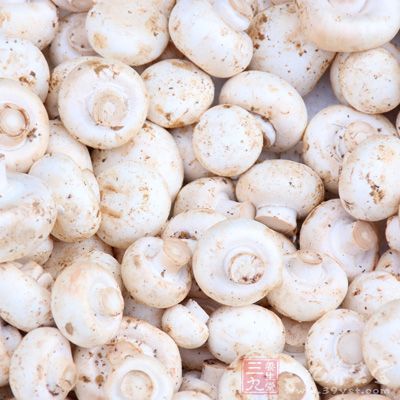 蘑菇属于菌类食物，是人们日常饮食中常吃的