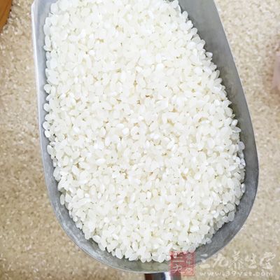 稻米中的蛋白质生物价与大豆相当