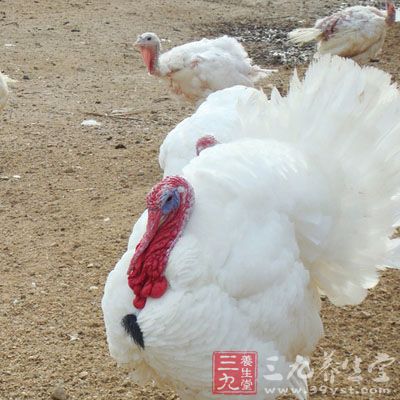 h9n7禽流感有哪些症状