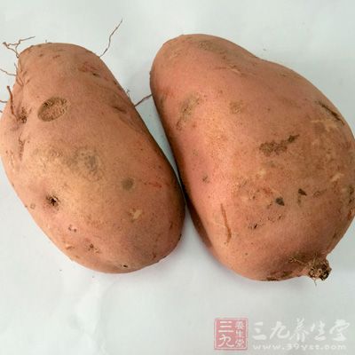 红薯含一种氧化酶