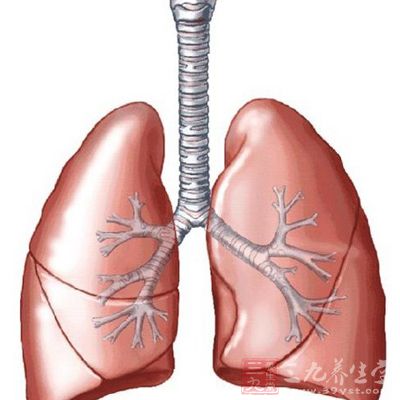 肺部慢性感染