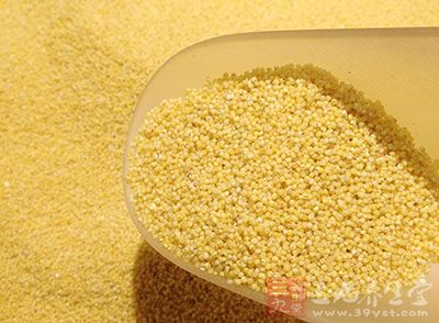 杂粮是镁含量丰富来源之一，小米比其它杂粮还容易被人体吸收，而且味道也可以接受