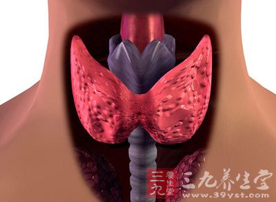 甲状腺位于喉及上段气管两侧，由左右两个侧叶和峡部组成