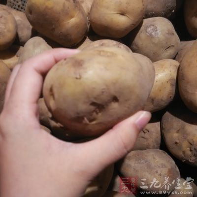 已经长芽的土豆禁止食用，大量食用会引起急性中毒