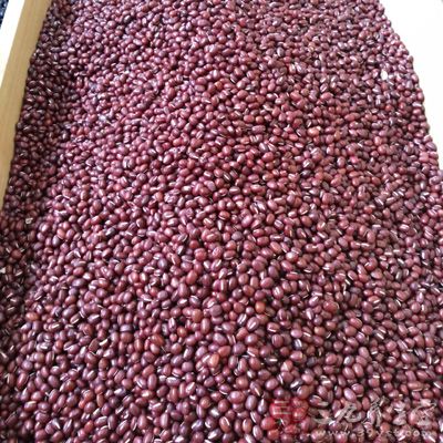 红豆含有丰富的B族维生素和铁质