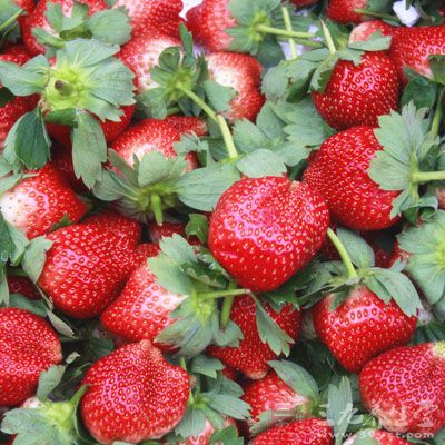 草莓这样的彩色浆果中含有丰富的花青素