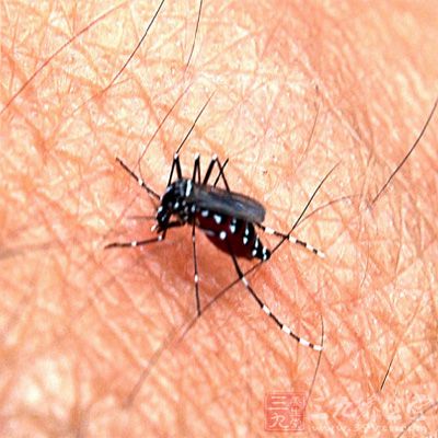 可以使当地使用驱蚊剂，防止蚊子叮咬