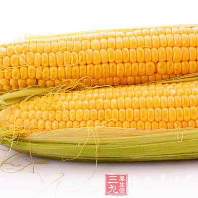 种皮为黄色，包括略带红色的黄玉米