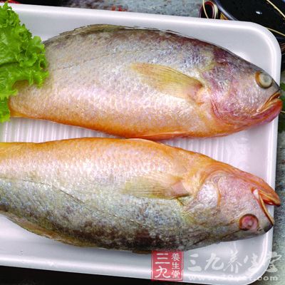 黄花鱼有大黄鱼和小黄鱼两种