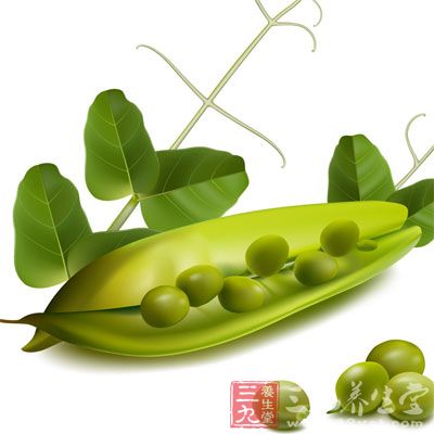 富含带赖氨酸：豌豆的营养很丰富，在中药里也很受重视