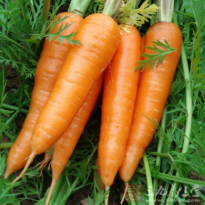 胡萝卜中富含的维生素有很好的抗氧化作用