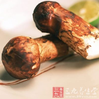 松茸菌肉肥厚，具有香气，味道鲜美，是名贵的野生食用菌。