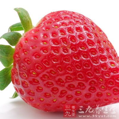 　草莓是属蔷薇科多年生草本植物，又叫洋莓，原产于南美洲