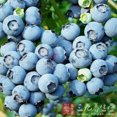 特色水果中维生素C含量最高的当数蓝莓