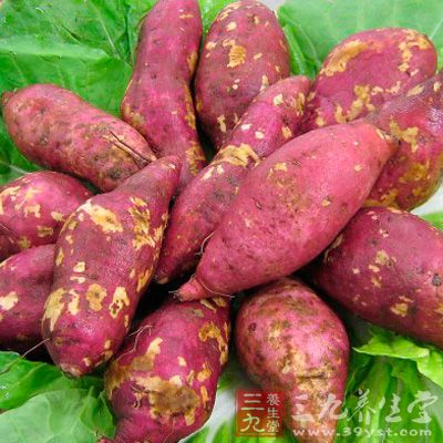 红薯是β胡萝卜素的最佳食物来源