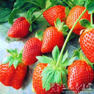 草莓可通过多种方式抗击癌症