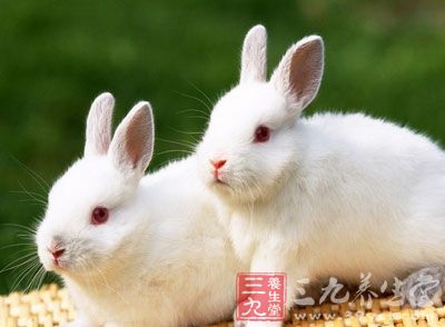 兔肉能够治疗脾胃虚弱导致的的饮食减少疲乏无力等症状