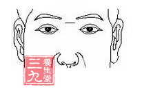 在两眉和两眼之间的部位称为玉岭，又叫玉堂