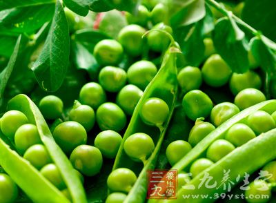 豌豆中富含人体所需的各种营养物质