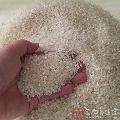 大米的主要成分是碳水化合物