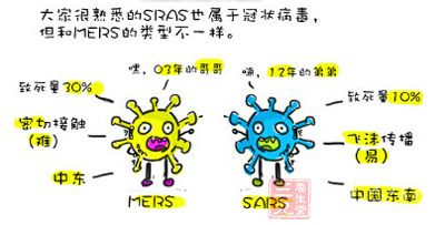大家很熟悉的SRAS也属于冠状病毒，但和MERS的类型不一样