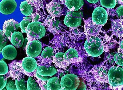 细菌性腮腺炎是由细菌感染引起，主要是葡萄球菌