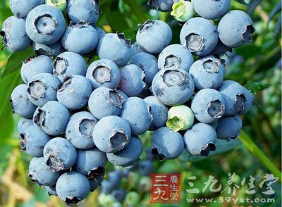 蓝莓富含花青素，是抗氧化最强的水果之一