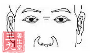 两眼之间、鼻梁根位置称为山根，假如此处生有横纹，初年辛苦忙碌