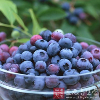 蓝莓是一种富含多种营养的水果