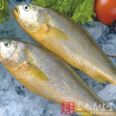 黄花鱼不仅肉质肥厚、脆嫩、味道鲜美，易于消化吸收