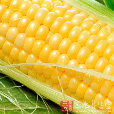 黄玉米中所含叶黄素平均为22mg/kg，这是黄玉米的特点之