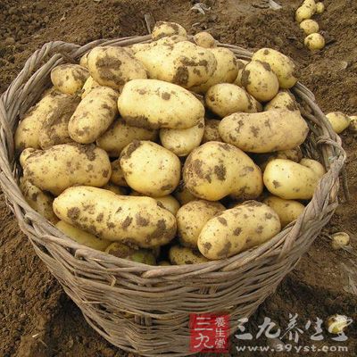 土豆含有丰富的维生素及钙、钾等微量元素，且易于消化吸收，营养丰富