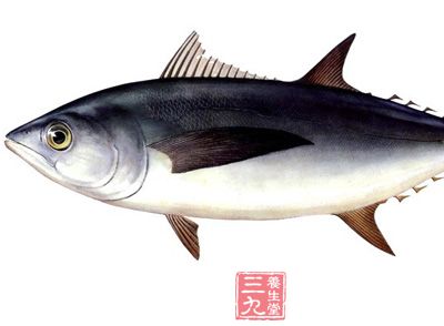 金枪鱼，一般是生活在地中海