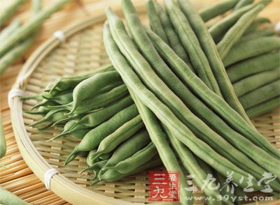 四季豆是为豆科一年生缠绕草本植物扁豆的种子