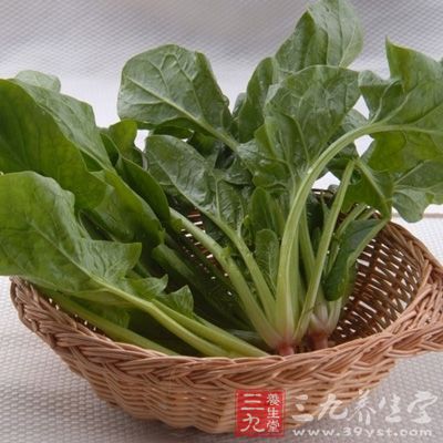 菠菜含有丰富的铁对缺铁性贫血有改善作用
