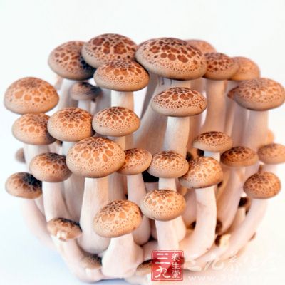 蘑菇可以抵抗包括淋巴瘤、肠癌等在内的多种癌症