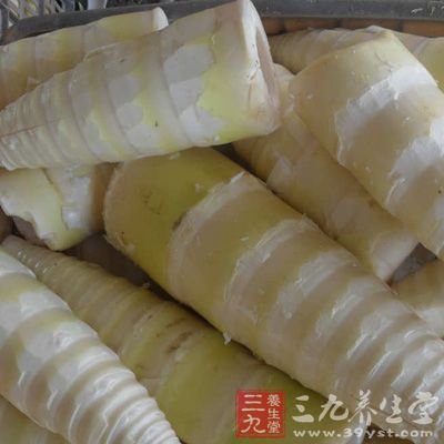竹笋，在中国自古被当作菜中珍品