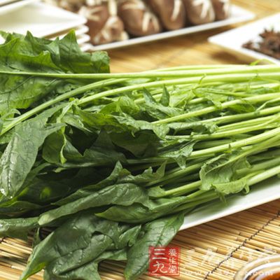 菠菜含有大量的植物粗纤维，具有促进肠道蠕动的作用